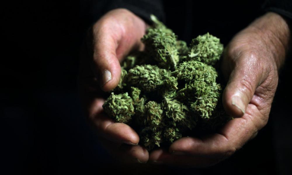 520 Kg of Ganja Worth Over $1,000,000 Found Near Nagpur and 2 Arrested
								