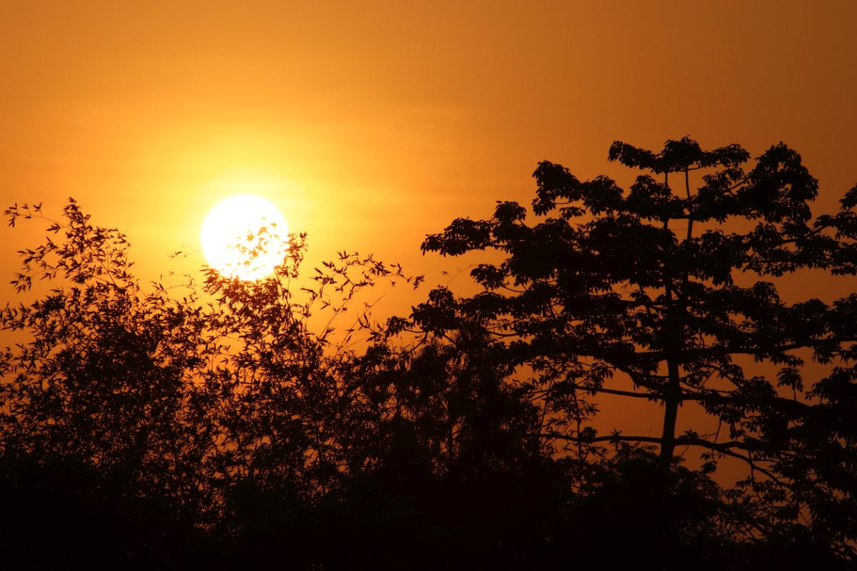 Vidarbha may experience temperatures over 45 degrees: heatwave warning by the Meteorological Department