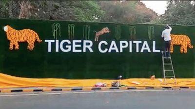 Public coming on the streets to adorn the view of Nagpur
