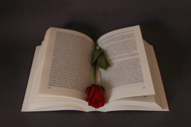 Nagpur Florists Enjoy Profitable Rose Day with Earnings of Rs 1.2 Crore