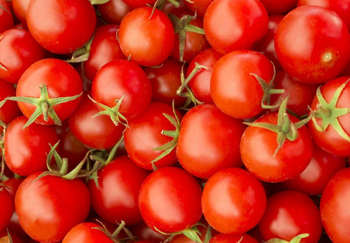 Nagpur City Congress Committee Minority Cell Protests High Tomato Prices