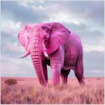 Correlation between Pink Elephant and Anxiety
								