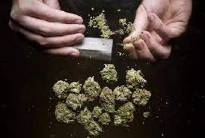 520 Kg of Ganja Worth Over $1,000,000 Found Near Nagpur and 2 Arrested