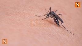 Police Bust Fake Mosquito Repellent Racket, ₹23,000 Worth Goods Seized
								