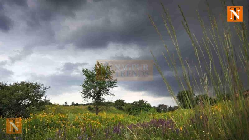 Clouds Linger, But Nagpur Still Waits for Rainfall Despite Monsoon Arrival