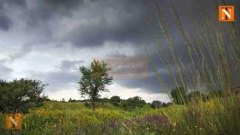 Clouds Linger, But Nagpur Still Waits for Rainfall Despite Monsoon Arrival
								