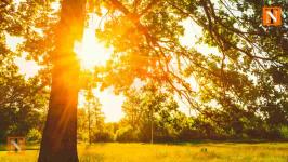 Summer Heat Returns: Nagpur’s Temperature 3.4°C Above Normal
								