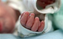 Infant Found Dead After Mother Abandons Him Under a Tree in Sitabuldi
								