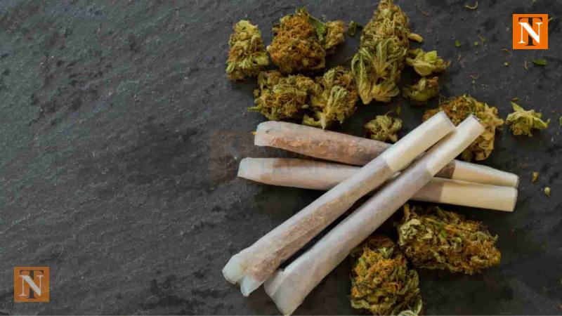 Nagpur Police Bust Ganja Smuggling from Odisha in Bank Manager’s Luggage