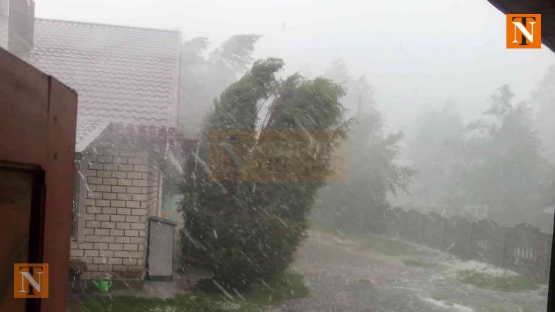 Heavy Rain and Storm Hit Nagpur, Uproot Trees and Flood Streets