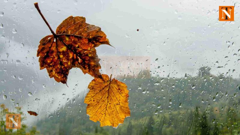 Nagpur’s Nautapa Begins with Rain Instead of Heatwave