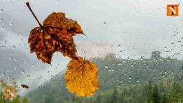 Nagpur’s Nautapa Begins with Rain Instead of Heatwave
								