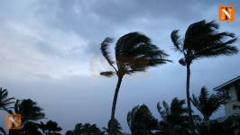 Nagpur, Vidarbha to See Rain and Strong Winds, Says Weather Department
								