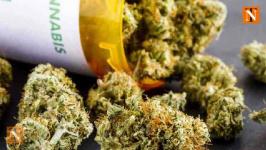 3.07 kg Ganja Valued at ₹76,750 Seized by Nagpur Police in Yashodhara Nagar
								