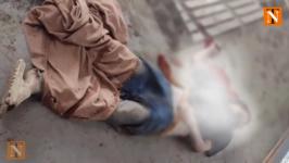 Man Brutally Killed in Prajapati Nagar, Wathoda
								