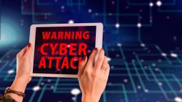 Member of Cyber Fraud Gang Apprehended
								