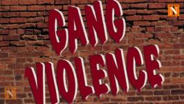 Rival Gang Murders Man in Brutal Attack in Nandanvan
								