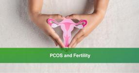 PCOS's unknown effects on women's fertility health
								