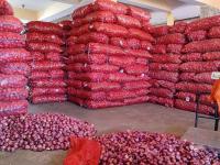 Nagpur Customs Prevents Illegal Export of Onions Valued at Rs 49 Lakh
								