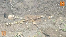 Nagpur Police Found Skeleton Near Factory Road in Gorewada
								
