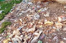 Arvi Struggles to Enforce Polythene Ban Despite Majhi Vasundhara Abhiyan Win
								