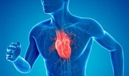 Heart-health objectives that all young adults should have
								