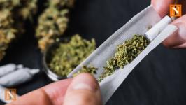 Yashodhara Nagar Police Bust Drug Operation, Arrest Suspect with Ganja
								