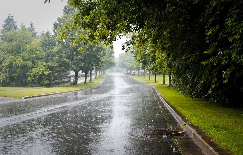 IMD Forecasts Gusty Winds and Rainfall in Nagpur Starting July 4