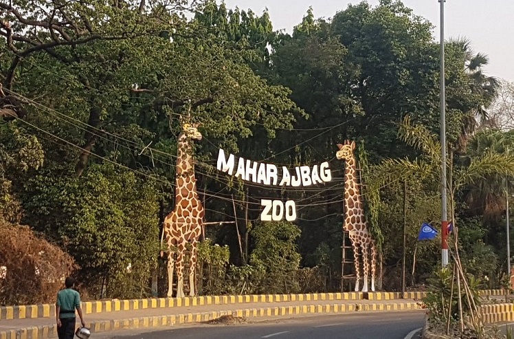 Maharajbagh Zoo in Nagpur Receives Wild Animals Under Animal Exchange Program